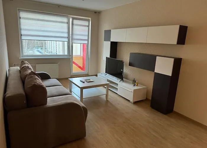 Spacious&Cozy South Apartment